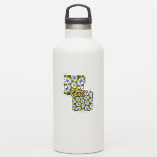 White Cornflowers Pattern