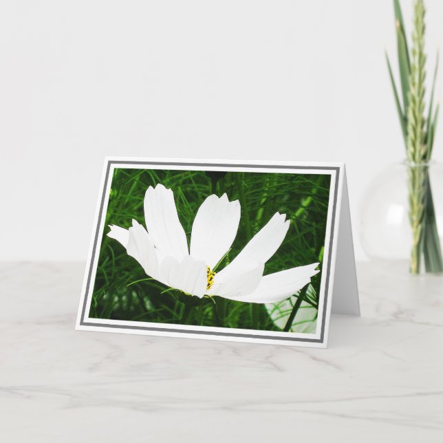 White Cosmos Flower Against Green Foliage Card (Front)
