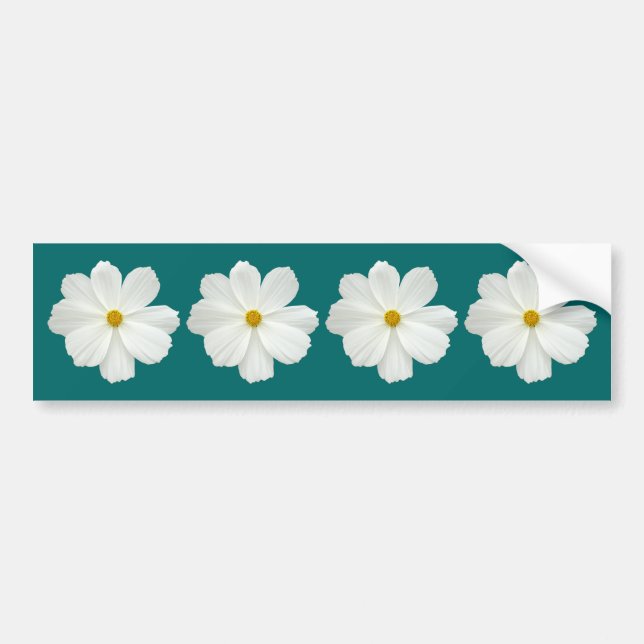 White Cosmos Flower Bumper Sticker (Front)