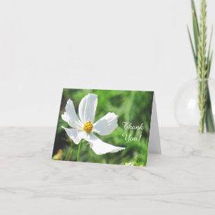 White Cosmos Flower Greeting Card