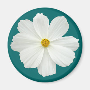White Cosmos Flower Magnet