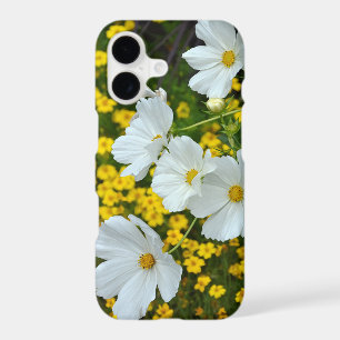 White cosmos flowers