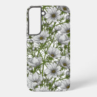 White cosmos flowers