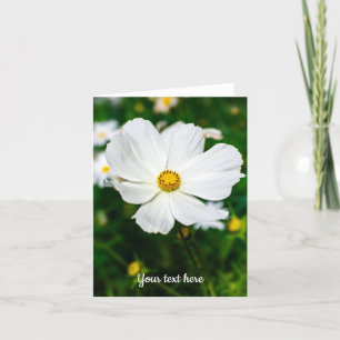 White Cosmos Greeting Card