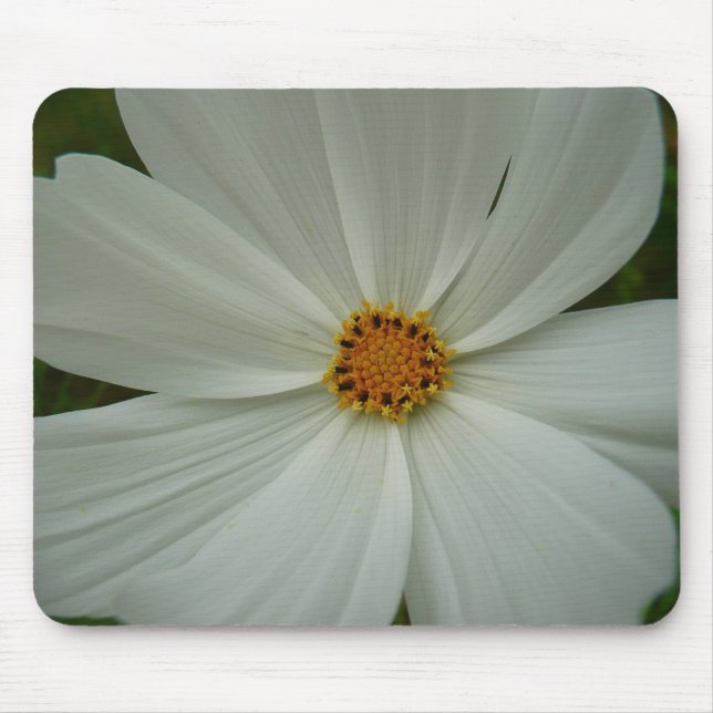 White Cosmos Summer Wildflower Floral Mouse Mat (Front)