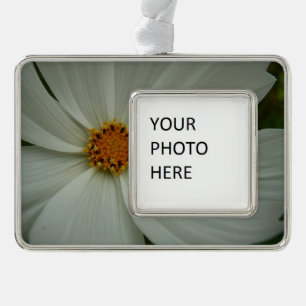 White Cosmos Summer Wildflower Floral Silver Plated Framed Ornament