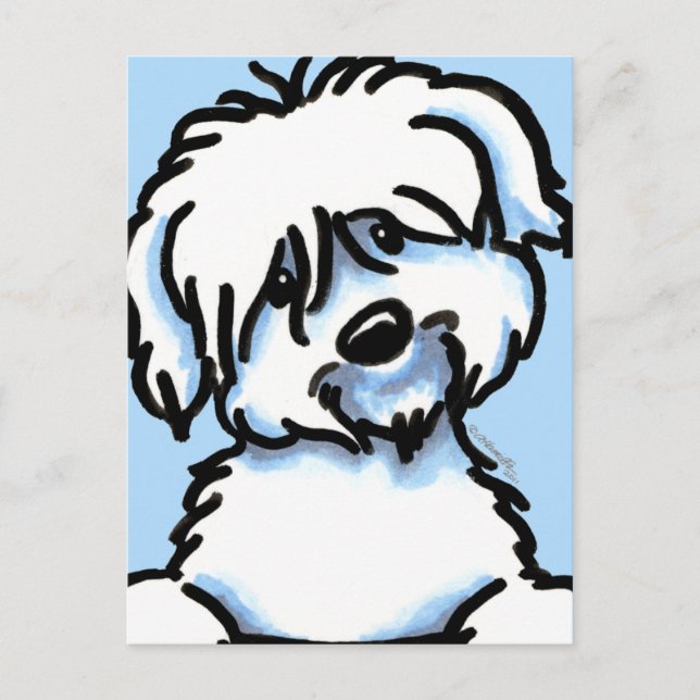 White Coton de Tulear Face Postcard (Front)