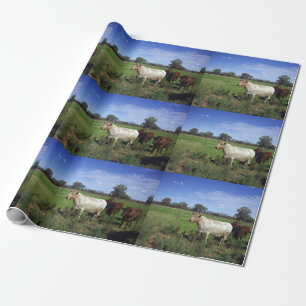 White Cow And His Herd, Wrapping Paper