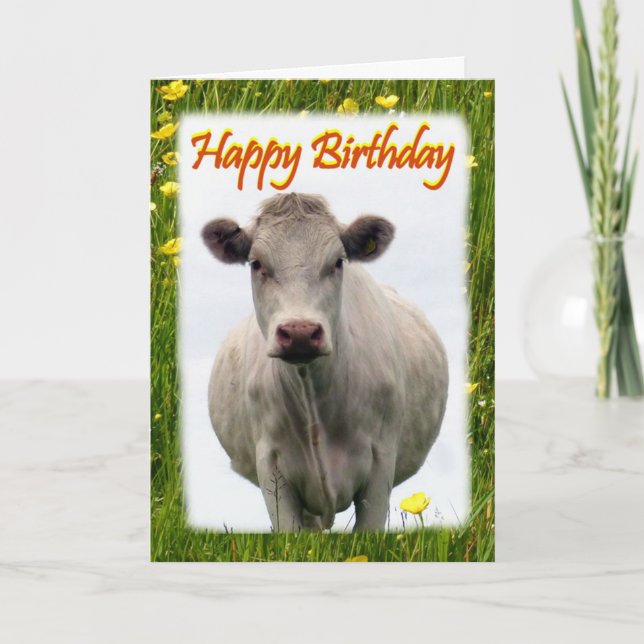 White cow birthday card (Front)