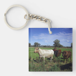 White Cow Leading The Herd, Key Ring