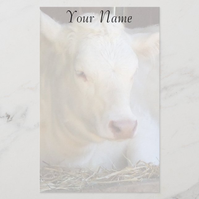 White Cow Stationery (Front)