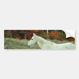 White Cream Horse in an Autumn Field Bumper Sticker