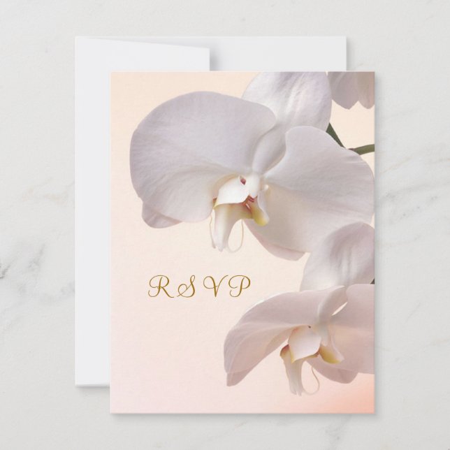 White - cream Orchids Invitation reply. RSVP (Front)