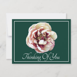 White Crimson Peony Green Backdrop Thinking Of You Postcard