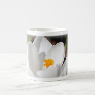 white crocus flower coffee mug