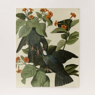 White-crowned Pigeon - Audubon's Birds of America Jigsaw Puzzle