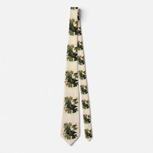 White-crowned Pigeon - Audubon's Birds of America Tie