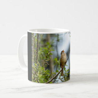 White-crowned Sparrow – Fine Art Bird Photography Coffee Mug