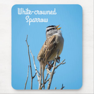 White-crowned Sparrow Mouse Mat