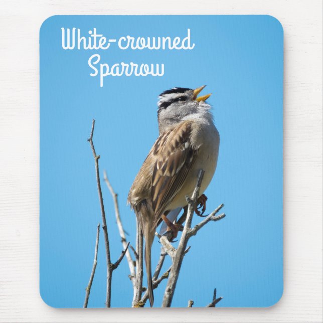 White-crowned Sparrow Mouse Mat (Front)