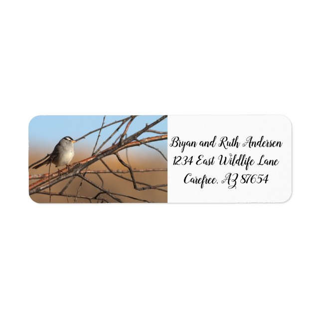 White Crowned Sparrow on a stick (Front)