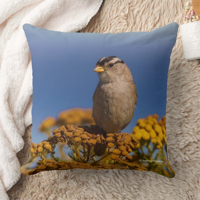 White-Crowned Sparrow Songbird Sitting on Tansy Cushion (Blanket)