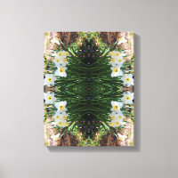  White Daffodil Flowers By Brook Abstract