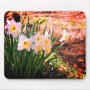 White Daffodil Flowers By Brook  Mouse Mat