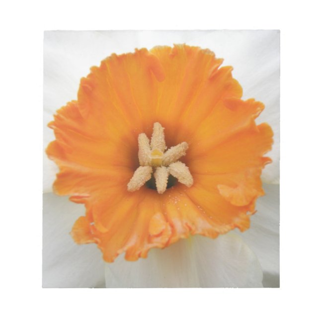 White Daffodil Notepad (Front)
