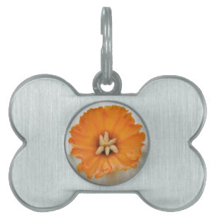 White Daffodil Pet Tag