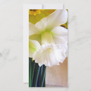 White Daffodil photocard