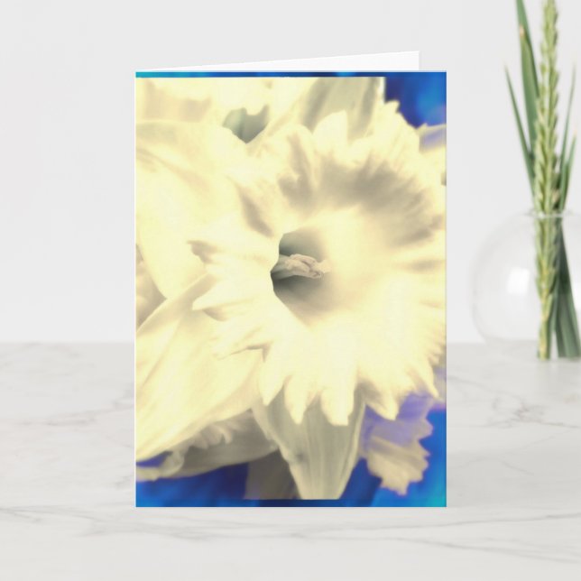 White Daffodil with Blue Fire Blank Greeting Card (Front)
