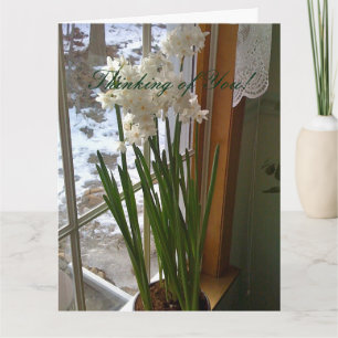 White Daffodils in Window Customised Greeting Card