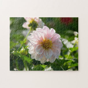 White dahlia in the garden photo jigsaw puzzle