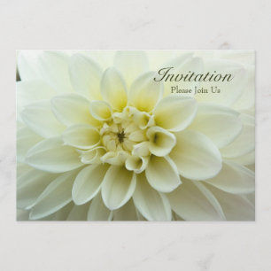 White Dahlia • Rehearsal Dinner Invitation