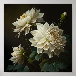 White Dahlias Flower Art Print Poster