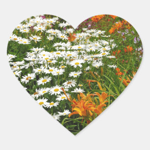 White daisies and orange lilies heart sticker