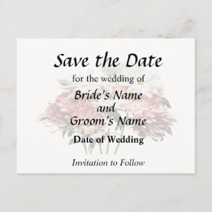 White Daisies and Pink Mums Announcement Postcard