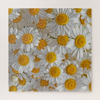 White Daisies: Beautiful Floral Background Jigsaw Puzzle