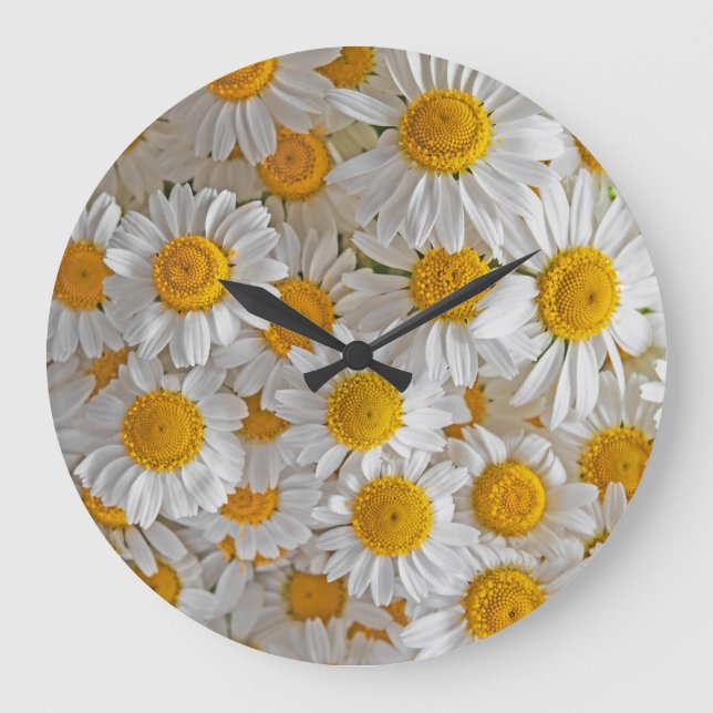White Daisies: Beautiful Floral Background Large Clock (Front)