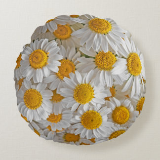 White Daisies: Beautiful Floral Background Round Cushion