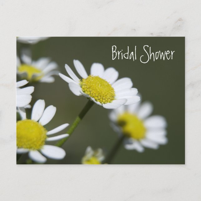 White Daisies Bridal Shower Invitation Postcard (Front)