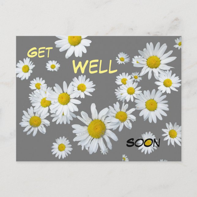 White Daisies Cust. Colour 2 Get Well Soon Postcar Postcard (Front)