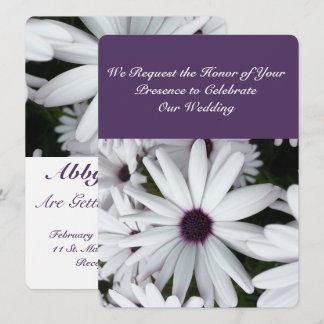 White Daisies Custom 5.5" x 7.5" Invitations