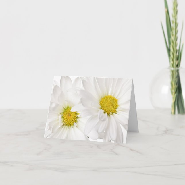 White Daisies - Customised Daisy Flower Template (Front)