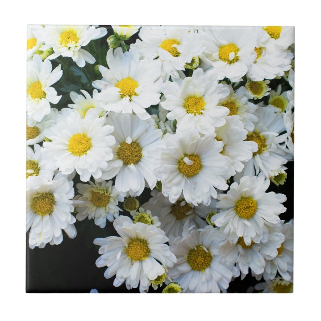 White daisies flowers tile (Front)