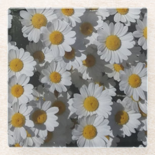 White Daisies  Glass Coaster