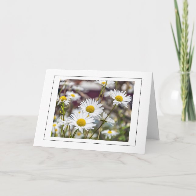 White daisies greeting card (Front)
