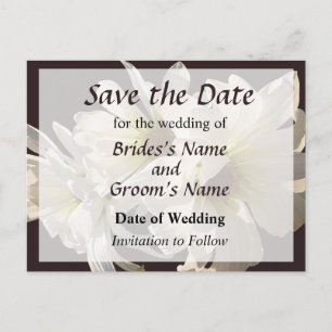White Daisies in Sunshine Save the Date Announcement Postcard