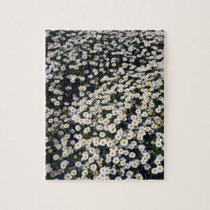 white daisies jigsaw puzzle